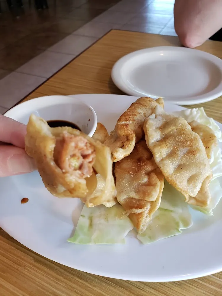 Pot Stickers